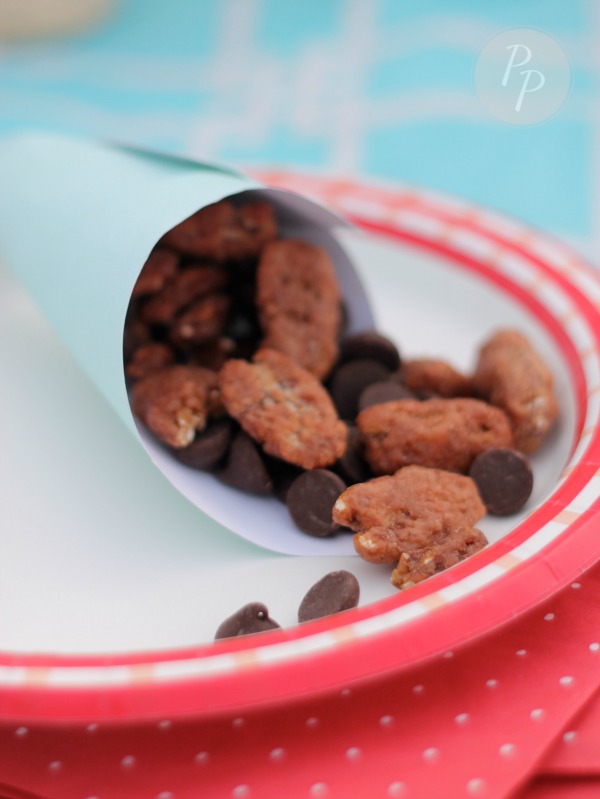 Tybee Picnic - Candied Pecans