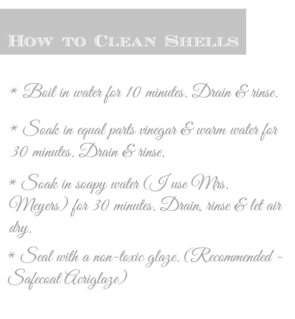 how to clean seashells