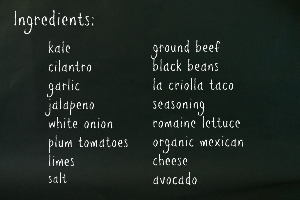 Healthy Nacho Recipe | Ingredients | PartiesforPennies.com 