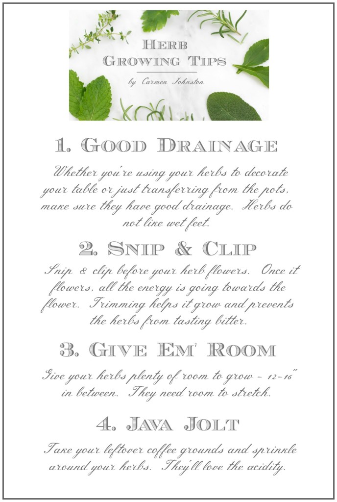 How to Grow An Herb Garden | PartiesforPennies.com | #garden #grow #herbrecipes #tips