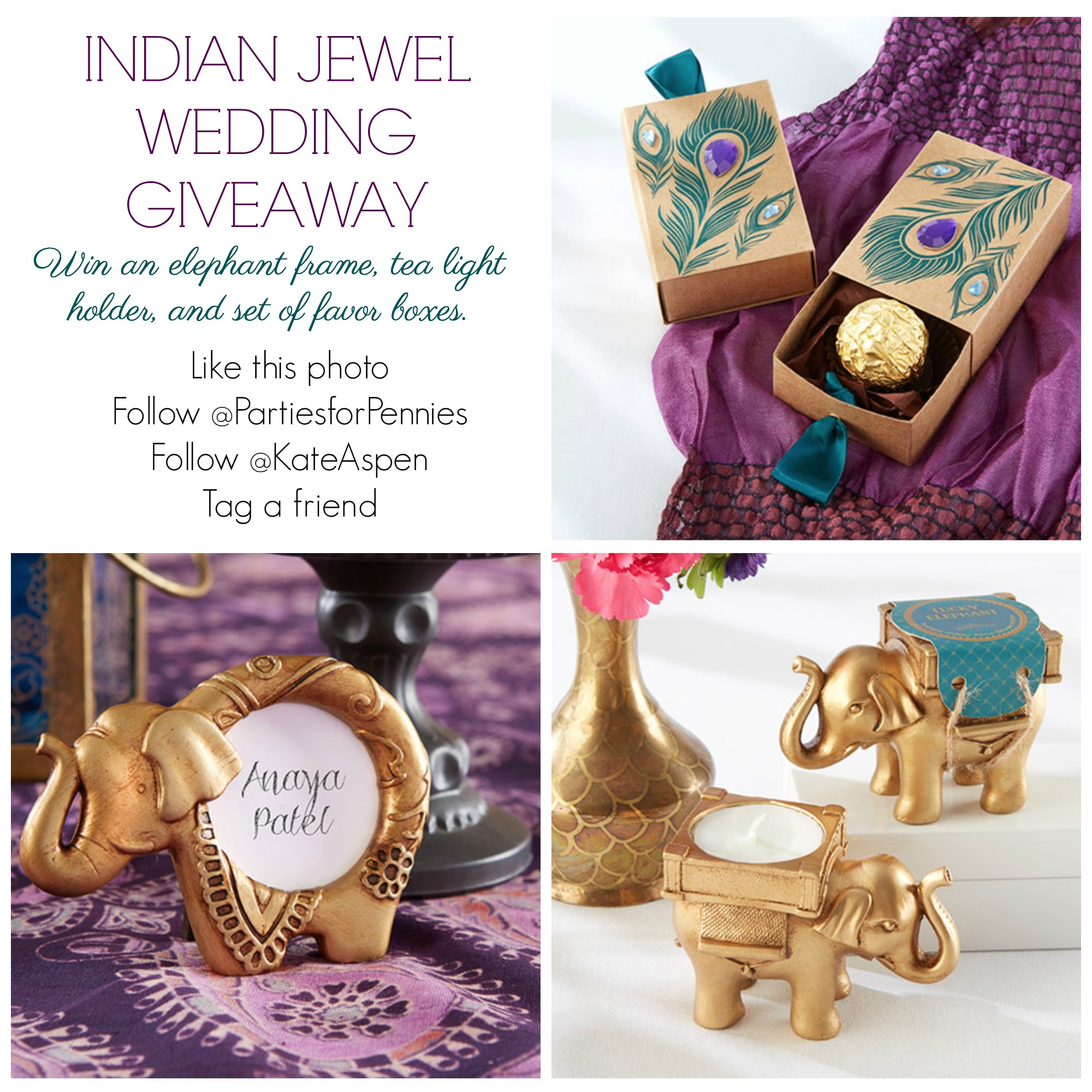 Indian Wedding Instagram Giveaway Info