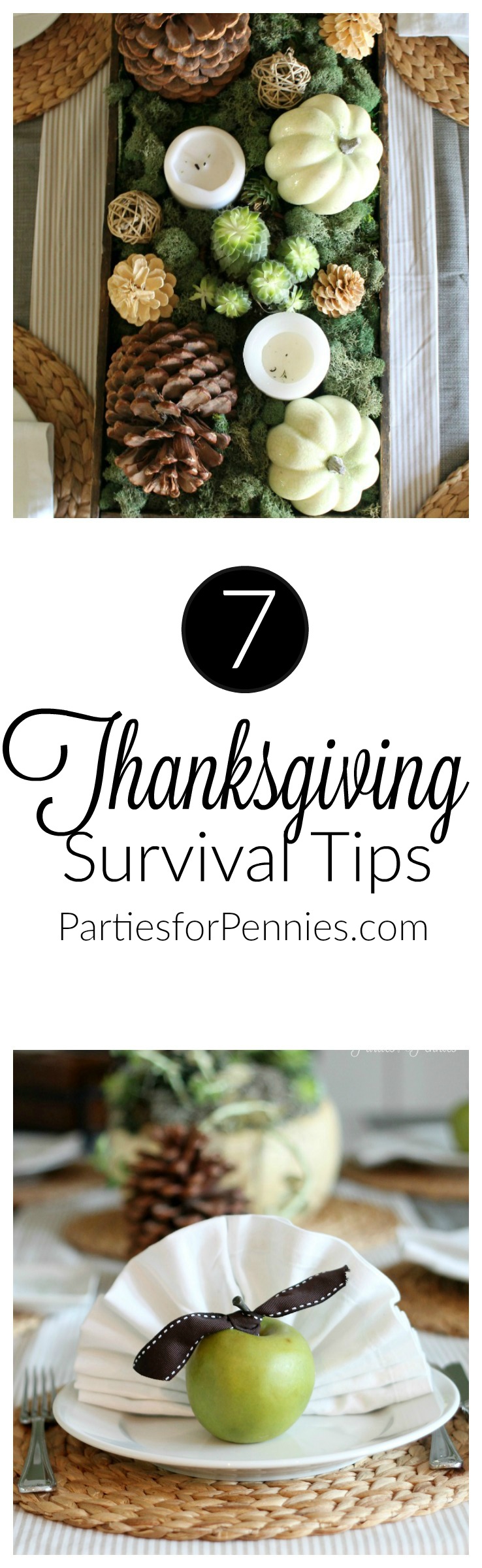 Budget-friendly Thanksgiving Tips by PartiesforPennies.com _Pinterest