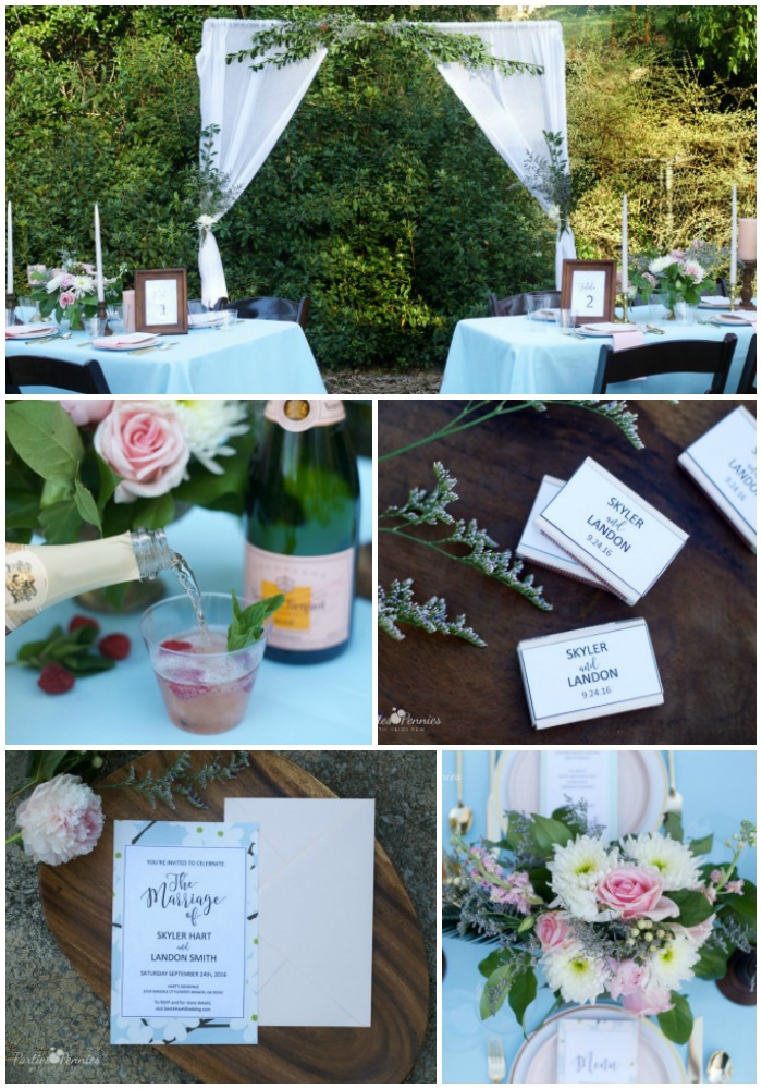 How to Plan a Backyard Wedding for under $5,000 | PartiesforPennies.com | Backdrop, Tables, Reception, Blue, Pink