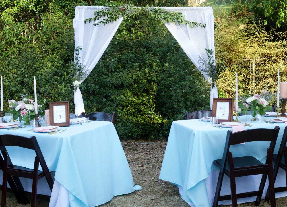 How to Plan a Wedding for under $5,000 | PartiesforPennies.com | Backdrop, Tables, Reception, Blue, Pink