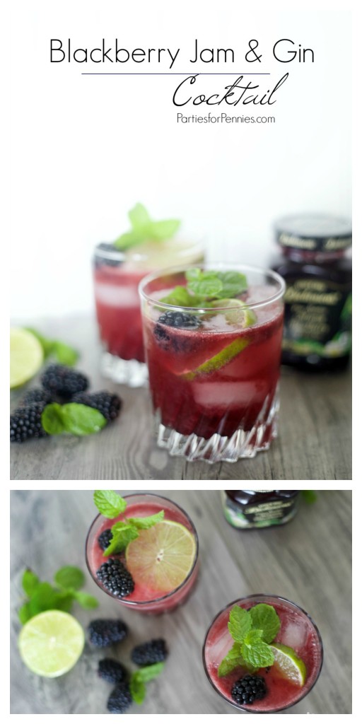 Blackberry Jam & Gin Cocktail Recipe by PartiesforPennies.com | Drink, Summer, Fall, Drink Recipe, Picnic, Entertaining